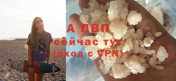 шишки Богородск