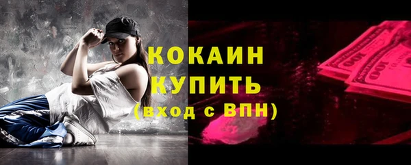 шишки Богородск