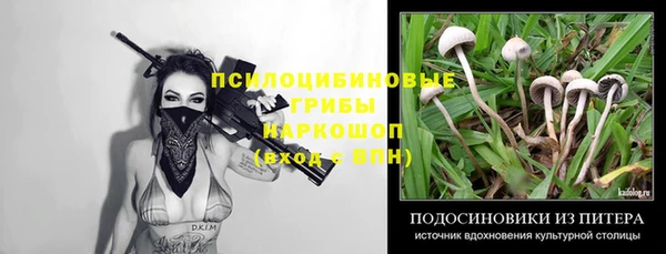 шишки Богородск