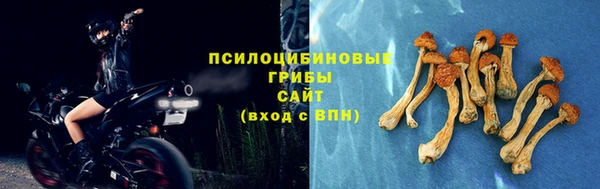 кокаин Богданович