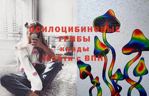 шишки Богородск