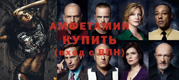 шишки Богородск