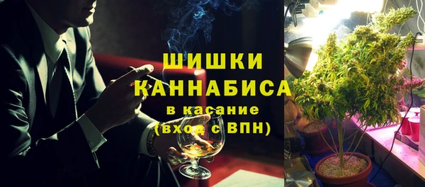 шишки Богородск
